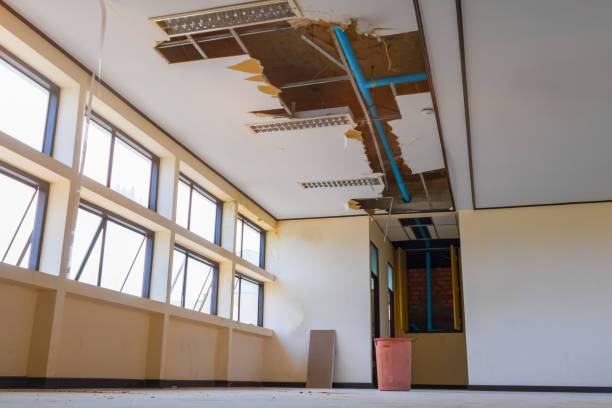 Best Water damage contractors near me  in Hoover, AL