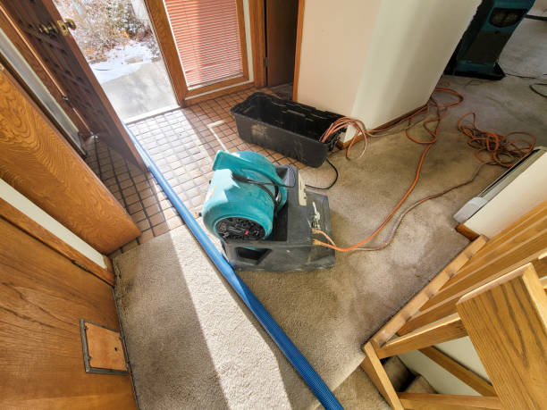 Best Water damage cleanup near me  in Hoover, AL