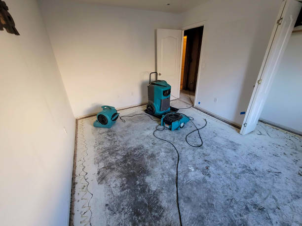 Reliable AL Water damage restoration Solutions