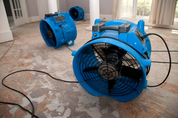 Best Water damage restoration services  in Hoover, AL